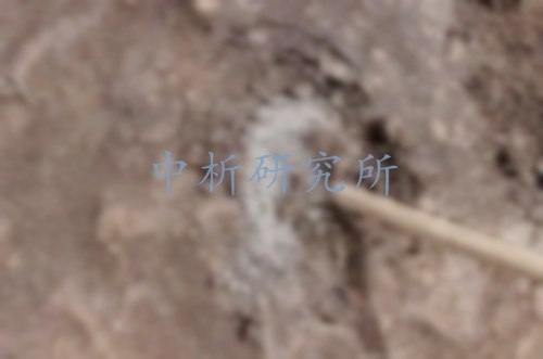 腐熟度檢測