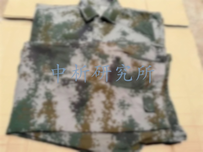 迷彩服檢測