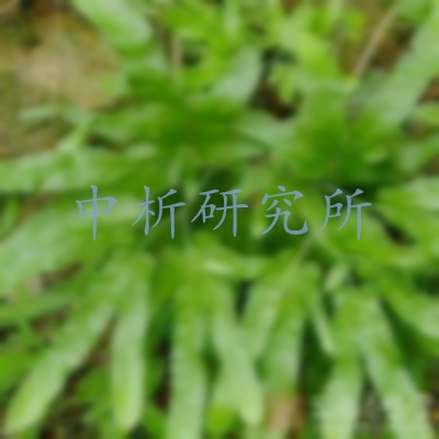 千金藤素檢測(cè)