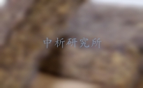 茯磚茶檢測