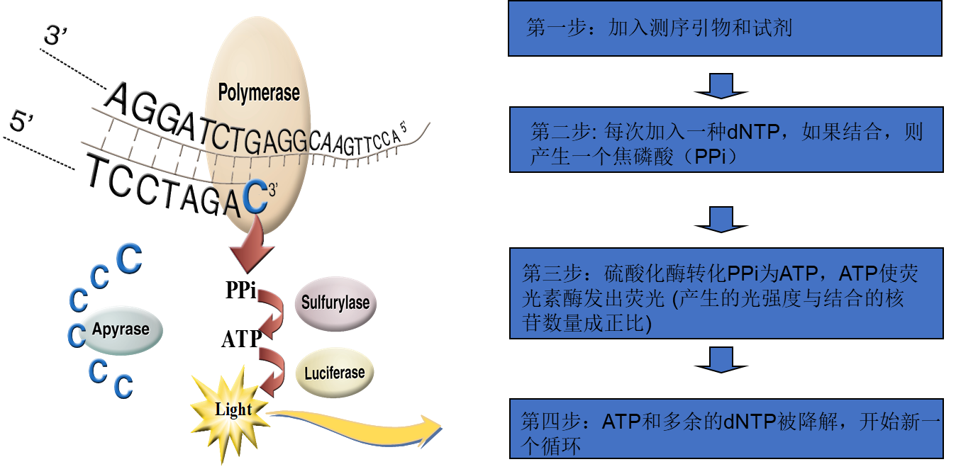 圖片6.png
