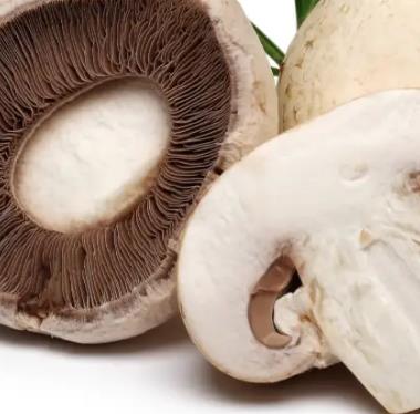 食用菌檢測(cè)