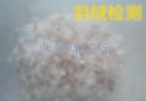 羽絨檢測