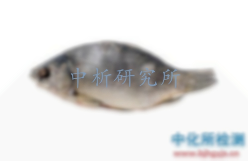 魚檢測,魚第三方檢測機構(gòu),魚檢測中心及檢測報告