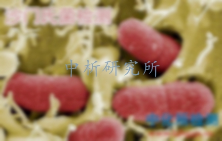 沙門氏菌檢測(cè)