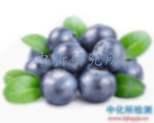藍(lán)莓檢測(cè),藍(lán)莓成分檢測(cè)機(jī)構(gòu),藍(lán)莓檢測(cè)報(bào)告