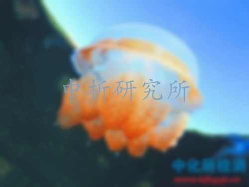 海蜇檢測