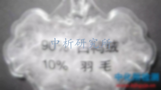 羽絨服檢測