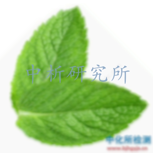 薄荷檢測