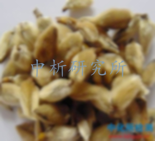辛夷檢測(cè)