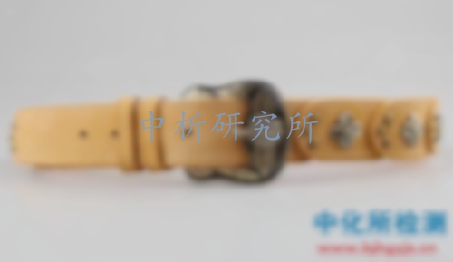 腰帶檢測(cè)