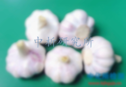 大蒜檢測
