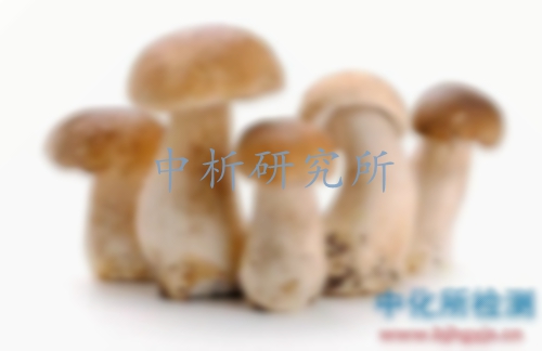 蘑菇檢測