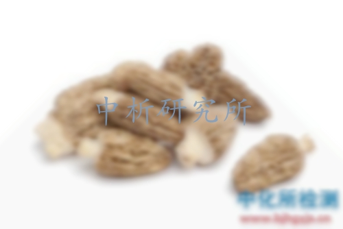 羊肚菌檢測