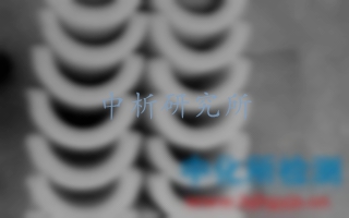 燒失量