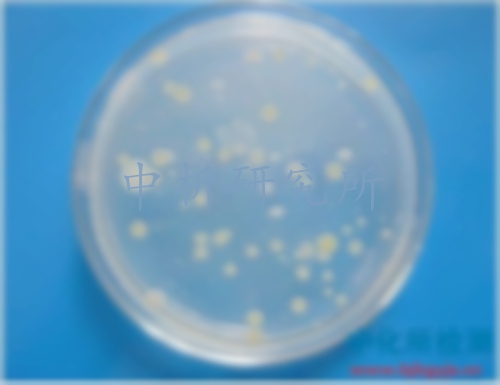 細(xì)菌總數(shù)