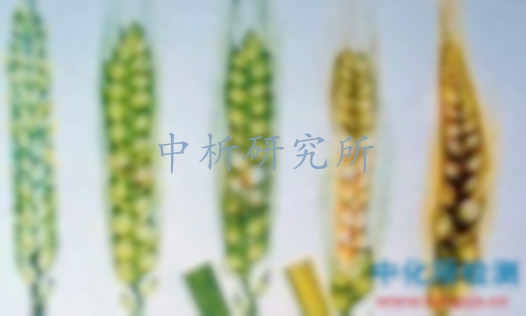 一應(yīng)俱全，嘔吐毒素檢測(cè)全攻略