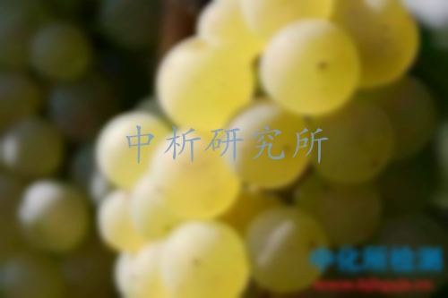 赭曲霉毒素檢測