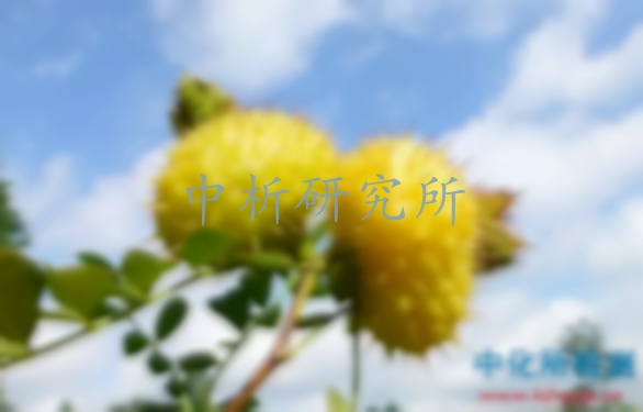 刺梨檢測