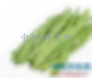 豆角檢測