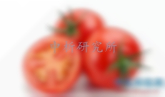 西紅柿檢測(cè)