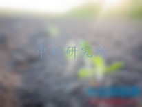 過氧化氫酶活性測定