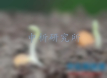 發(fā)芽試驗(yàn)