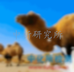 駝奶檢測(cè)