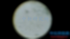 霉菌總數(shù)