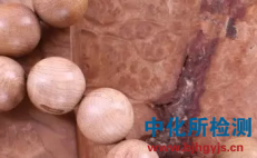 樟木鑒定