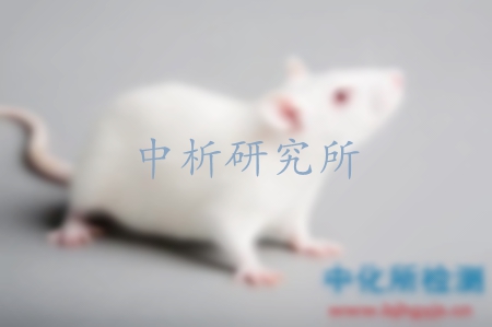 小鼠實(shí)驗(yàn)