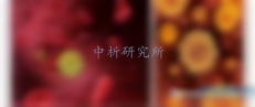 經(jīng)皮毒性試驗