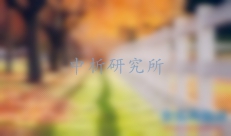 欄桿檢測