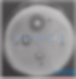 抗菌活性