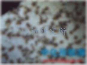 腐蝕分析