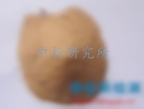 氨基酸檢測