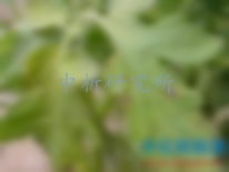 多菌靈殘留