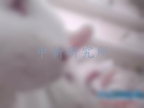 熱原試驗