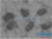 二次離子質(zhì)譜