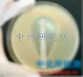 半致死濃度