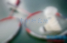 羽毛球拍檢測(cè)