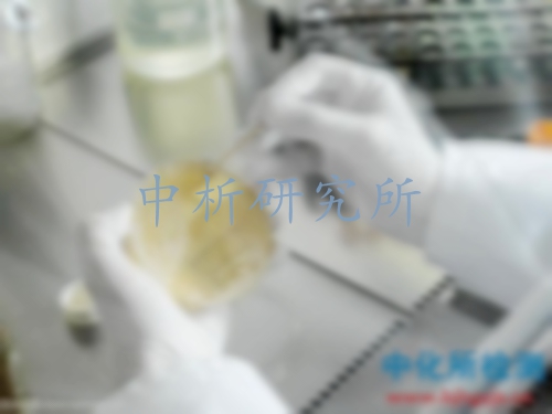 菌種鑒定
