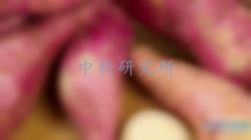 紅薯檢測
