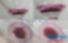 干浸出物