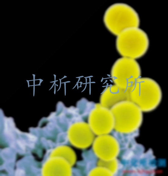 金黃色葡萄球菌檢測(cè)
