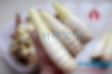 筍檢測