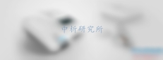 蛋白質印跡分析