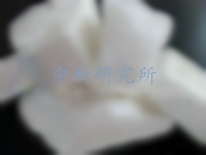 白云石檢測