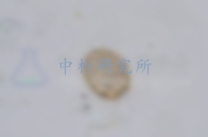 蛔蟲卵死亡率