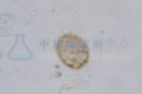 蛔蟲卵死亡率